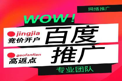 百度竞价推广代运营服务案例分享